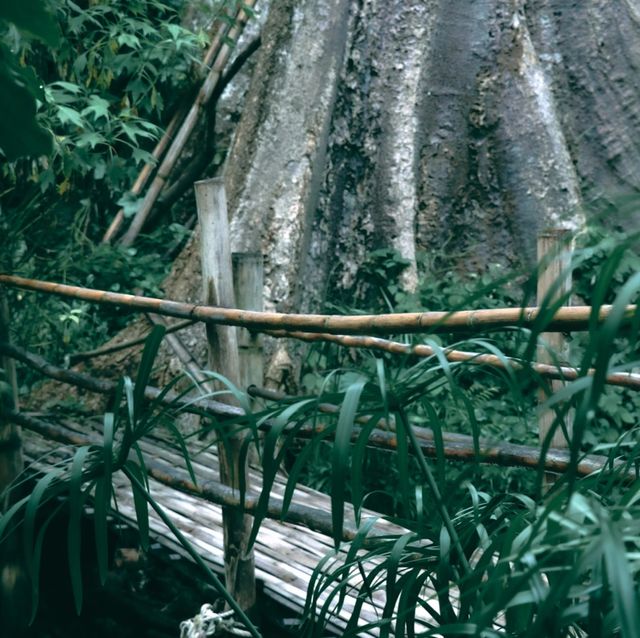บ้านธารกล่อม นอนฟังเสียงน้ำไหลในอ้อมกอดธรรมชาติ 🌲