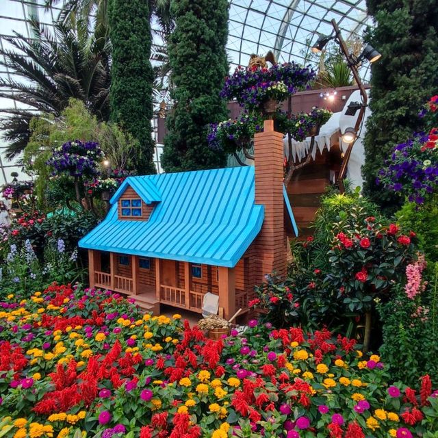 Christmas @ Flower Dome