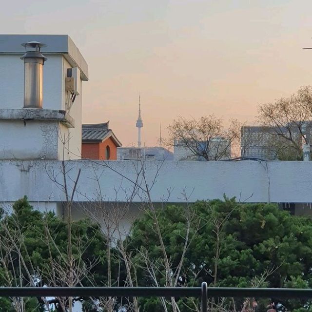 N서울타워가 보이는 한국 감성 카페🌱오설록