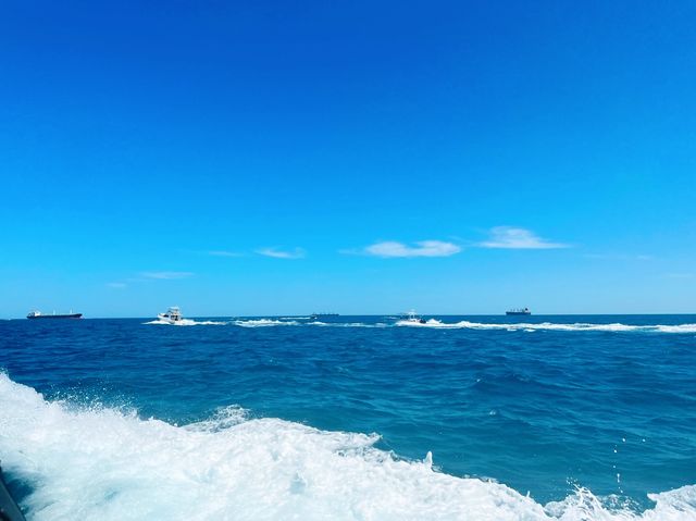 Rottnest Island!😎 Beachin’ The Beach!🤪