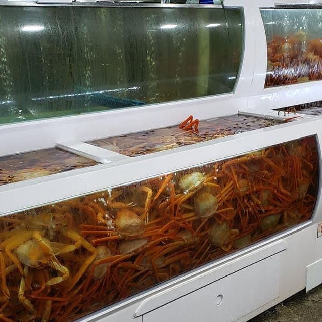 韓國松葉蟹豪華套餐 ｜啖啖肉 ｜ 超新鮮