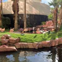 Flamingo Las Vegas