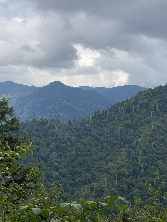 Chimney Top Trail - Smoky National Park