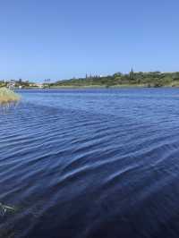 Kaaimans, Wilderness 