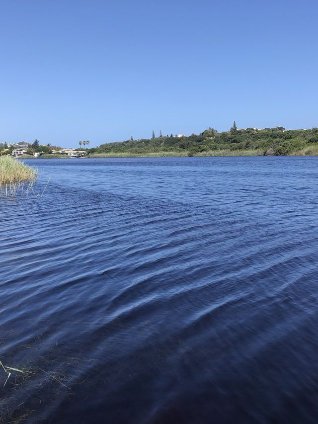 Kaaimans, Wilderness 