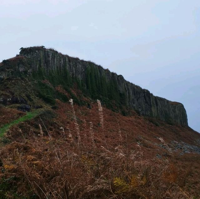 Kings cave and dinosaur print hike 