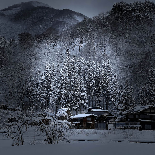Snow Magic in Shirakawa-go