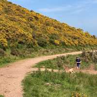 Caerketton Hill