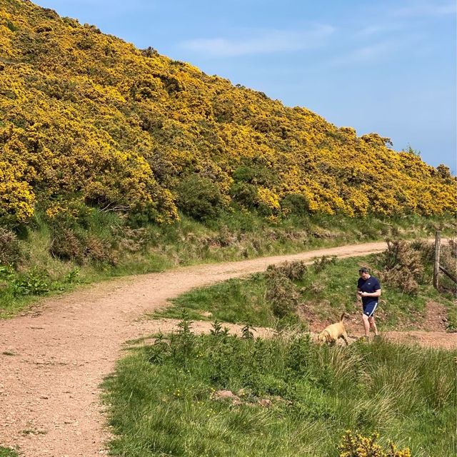 Caerketton Hill