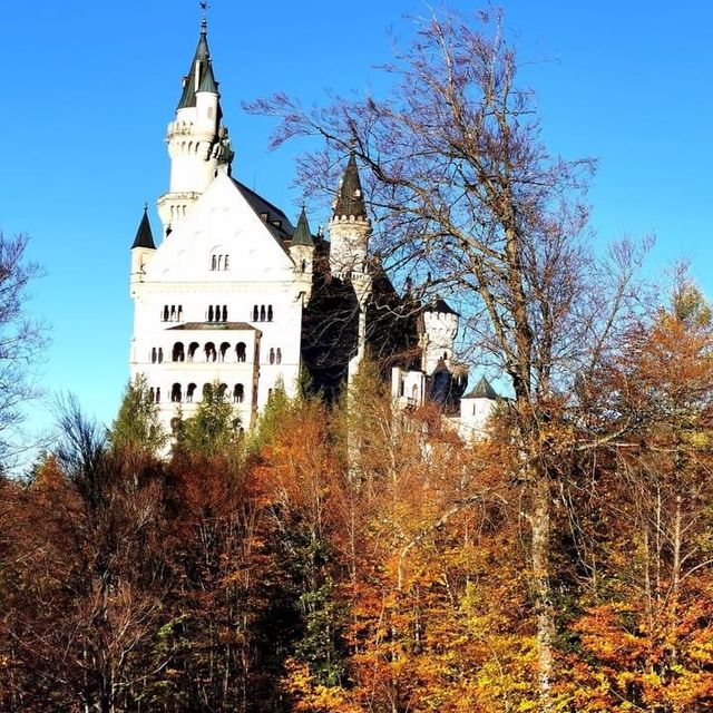 neuschawanstein castle