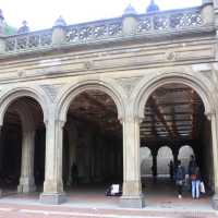 NY Central Park’s Bethesda