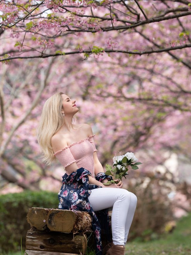 The most beautiful flower location in Japan 