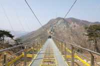 원주 소금산출렁다리 그랜드밸리