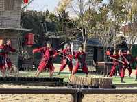 Live Horse Show in Chongming Island.