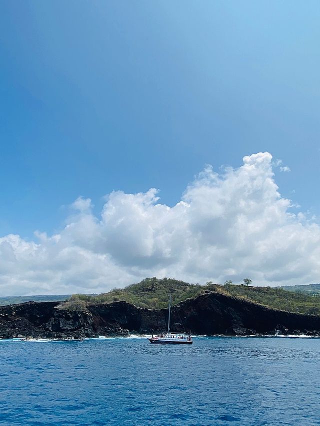 Captain Cook Snorkling