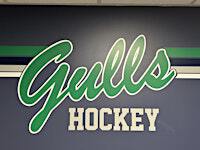 Endicott College Men's Ice Hockey vs Southern Maine | Raymond J. Bourque Arena