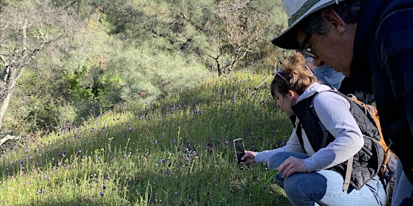Mitchell Canyon Medicinal Herb Walk | Mitchell Canyon Interpretive Center Parking Area