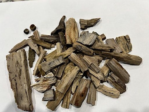 Bruneau Woodpile Geologic Field Trip | Idaho Museum of Mining and Geology