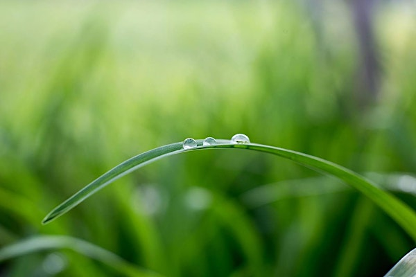 The Power of Now: Living in the present through meditation | The Green Room Folkestone