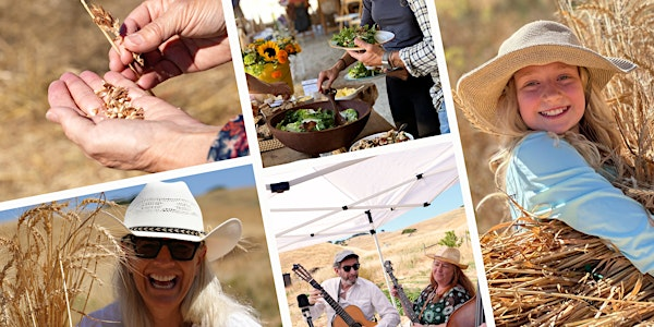 Honoré Farm and Mill's 11th Annual Harvest Day | Tara Firma Farms