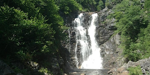 Group Hike to North River Falls | North River Provincial Park