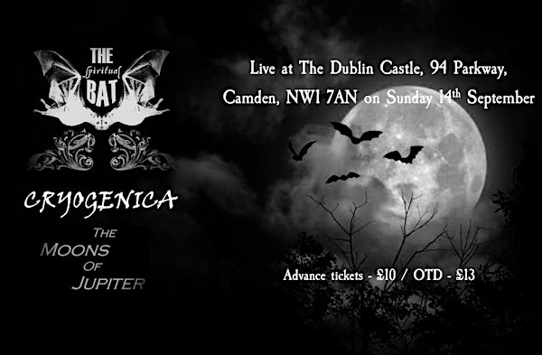 The Spiritual Bat, Cryogenica & The Moons of Jupiter  @ The Dublin Castle | The Dublin Castle