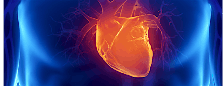 ACLS Provider + BLS Provider Certification - September 15 & 16 | St. Joseph's Healthcare Hamilton