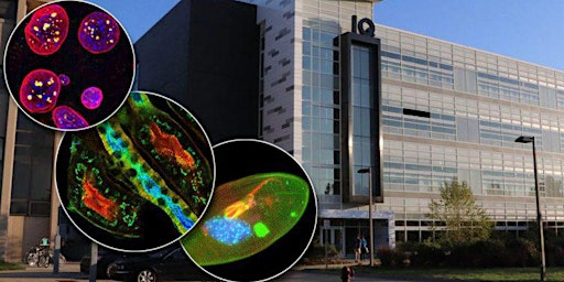 Join Mid-Michigan Spartans Behind the Scenes at MSU IQ | 775 Woodlot Dr