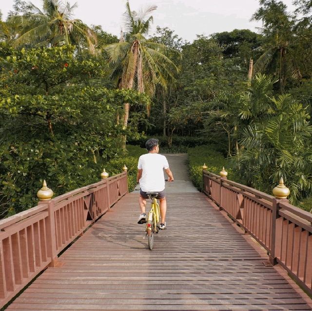  ไปปั่นจักรยานในสวน และขึ้นหอดูนกกัน #บางกะเจ้า