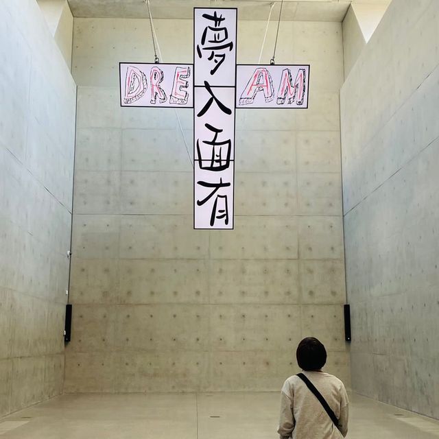 M+藝術館開咗啦！
