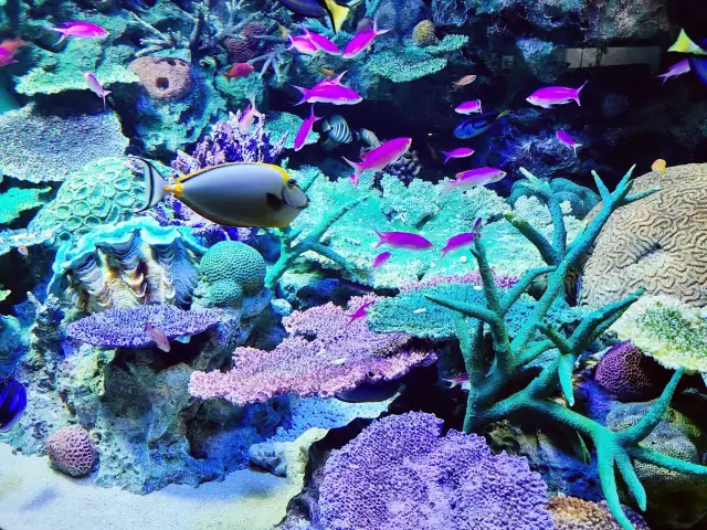 【東京】池袋の水族館！サンシャイン水族館