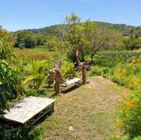 The Nature samui 