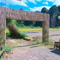 คาเฟ่ที่น่ามาที่สุดในเนินมะปราง