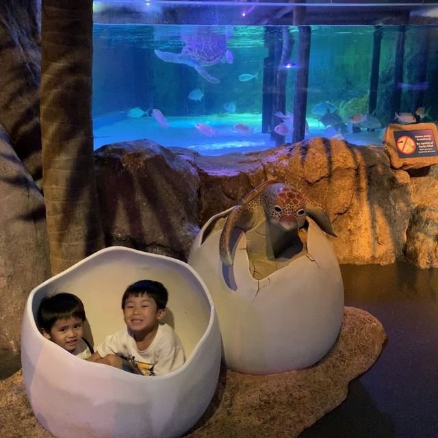 體驗不一樣的水族館 | 曼谷旅行