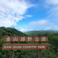 金山九龍水塘