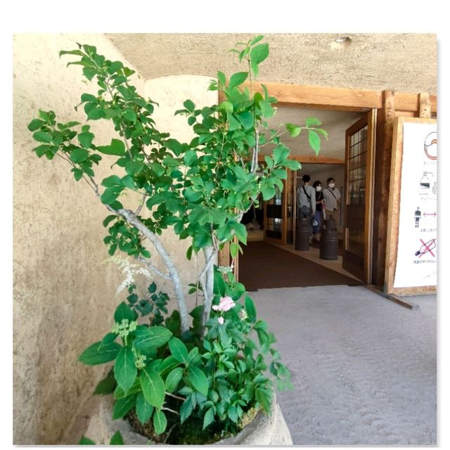 【滋賀県近江八幡市】そこはまるでおとぎの国✨