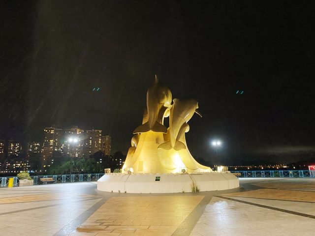 夜遊海豚廣場