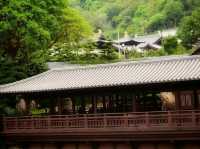 志蓮淨院，南蓮寺略貌