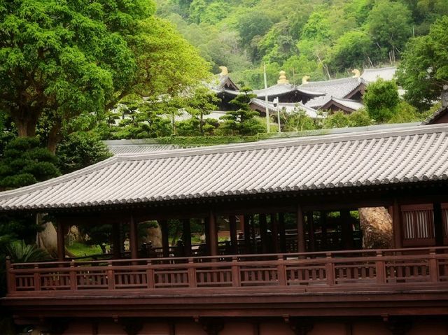 志蓮淨院，南蓮寺略貌