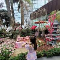 Flower Dome x Sakura flowers with Hello Kitty