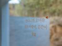 양양 감성 숙소 스테이비욘드 조용하게 휴식