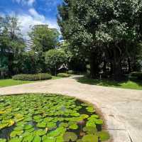 Hidden greens in middle of Bangkok city