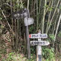 【伊予ヶ岳】ロープを使う登山