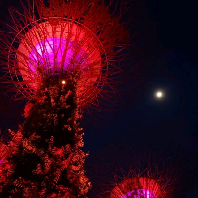 Free things to do in Singapore