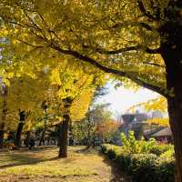 紅葉の上野公園はとても綺麗！