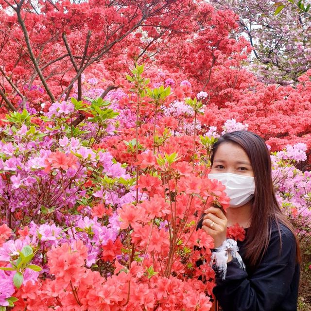 Wansan Park  (full of flower)