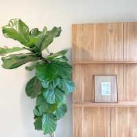 The Earth Creative Lifestyle Hotel