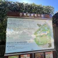 名古屋 楓葉下 的白鳥庭園🍁🍁