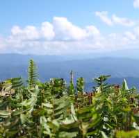 อุทยานแห่งชาติดอยภูคา 🌳