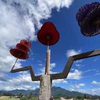ตลาดชมทุ่ง วัดศรีมงคล-ก๋ง ท่าวังผา น่าน